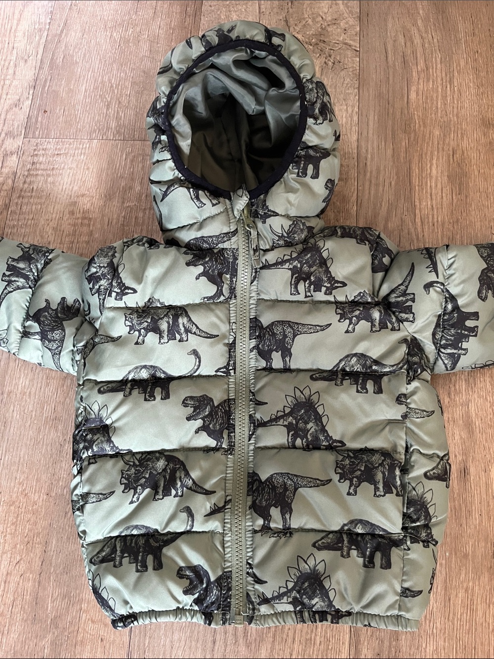 The Children's Place Olive Green Puffy Jacket Dionsaurs with Hood Unisex Size 2T